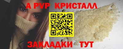 гашик Кимры