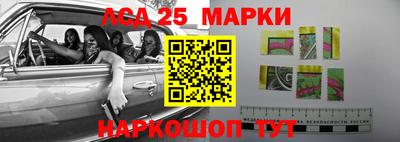 гашик Кимры